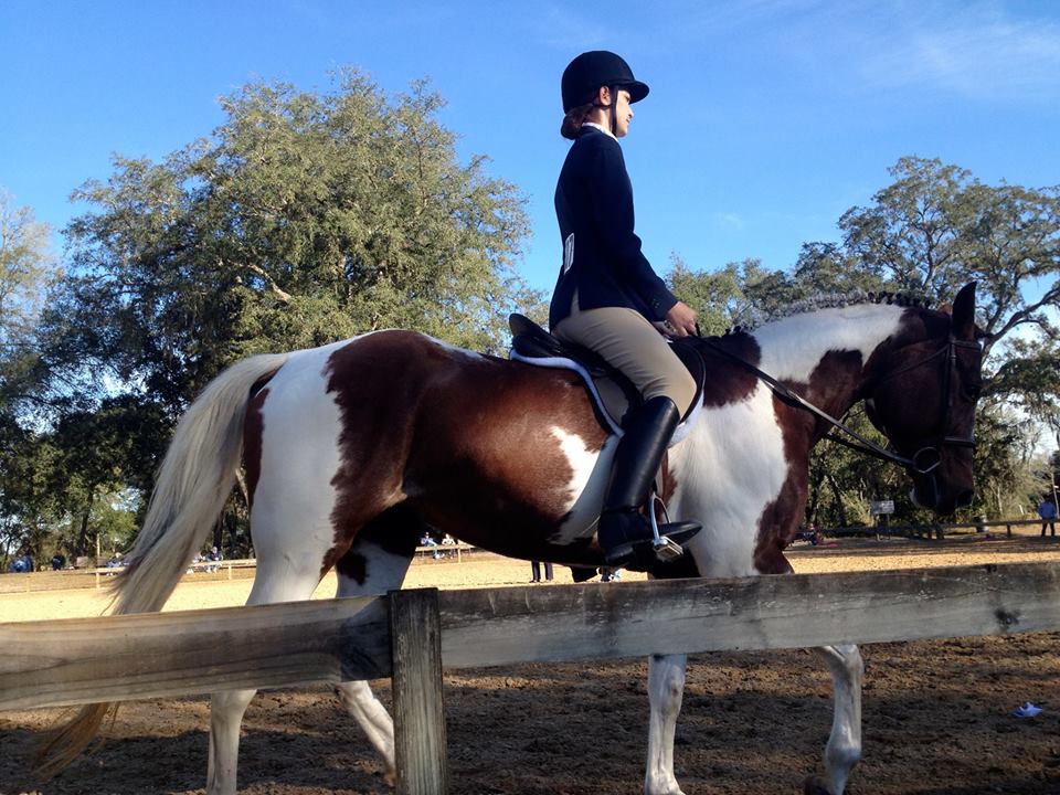 Diamond P Equestrian Center